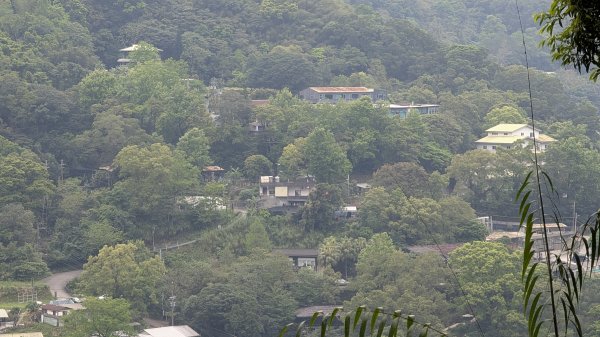 115.04.11啦卡步道-大刀山之旅3034646