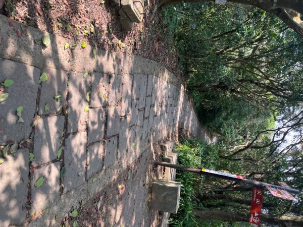 觀音山硬漢嶺2081855