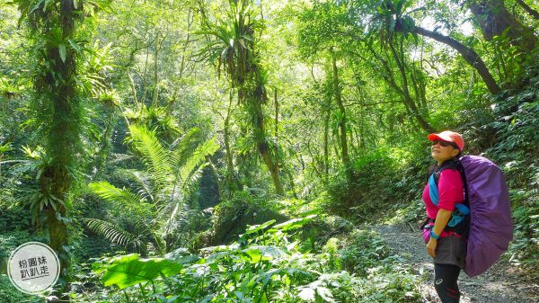 【宜蘭礁溪】聖母登山步道277474