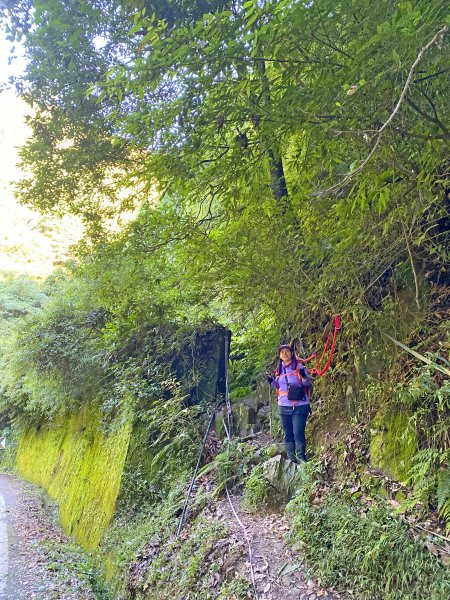 鳶嘴稍來神木、稍來山O型走20209151102462