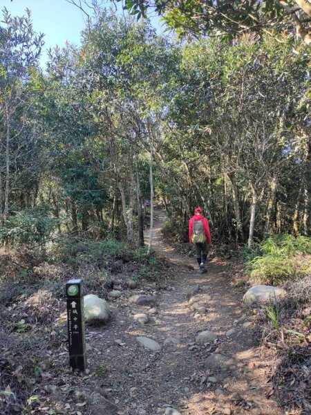 ［小百岳］頭嵙山+貳嵙山2237686