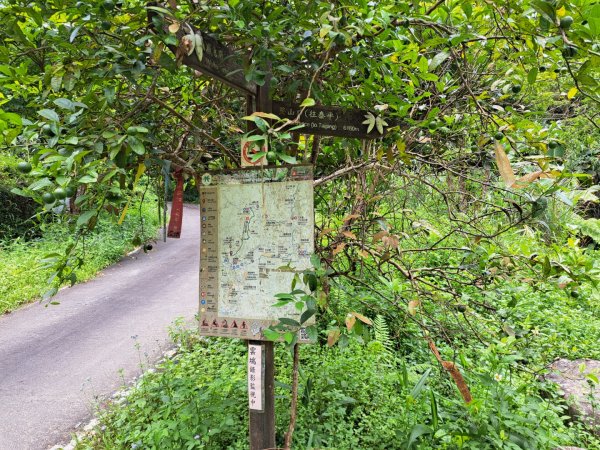 淡蘭中路第四段：威惠廟到灣潭古道登山口3104477