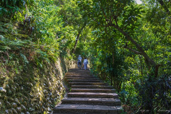 [台北]虎山親山步道、九五峰、南港山2911300