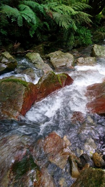 淡蘭古道南路（湖底嶺、四堵古道、溪畔古道）1434000