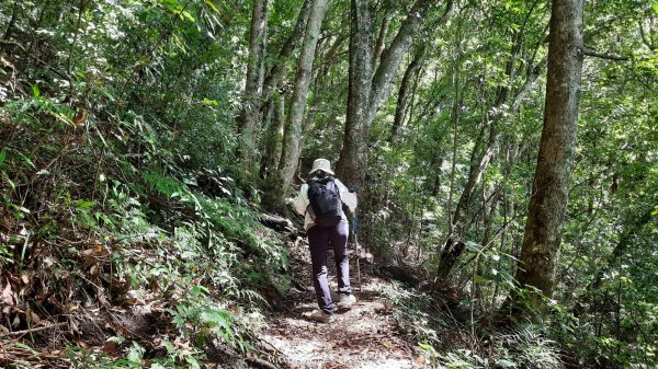 《新竹》遺世古堡｜尖石李崠山登山步道202507182841010