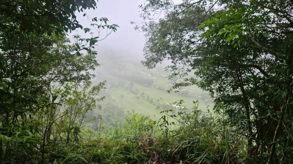 20260328赤玉o型3029887