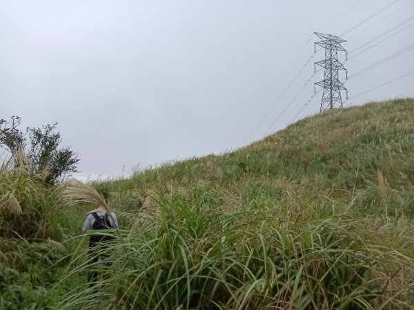 雙溪區不厭亭+草山公路+牡丹山+不厭亭+金字碑古道(探幽亭)+三貂崙+不厭亭8字走2941915