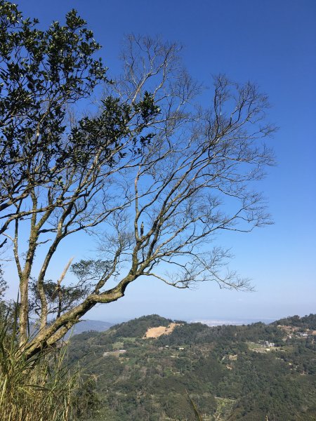 20210116-關刀山1238213