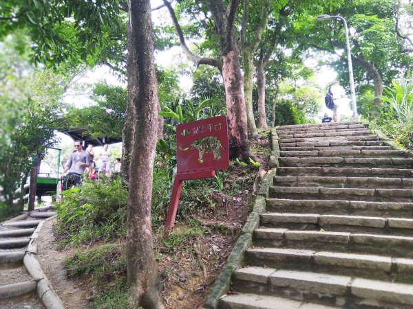 城市裡就能感受山林綠意~象山親山步道778683