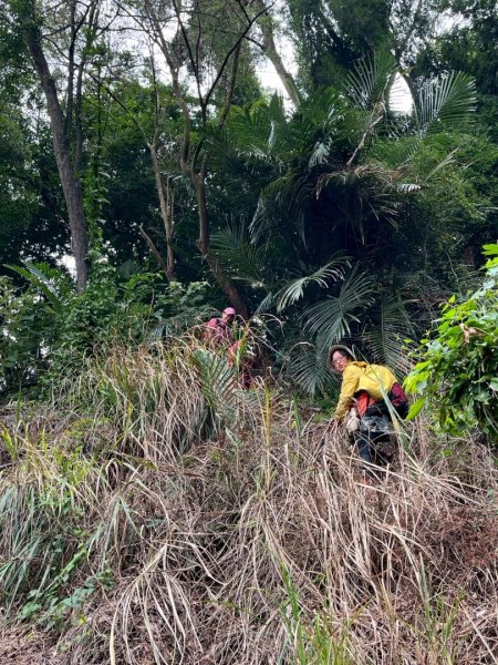 關西大東坑山/草長難過  順訪東安古橋2930508