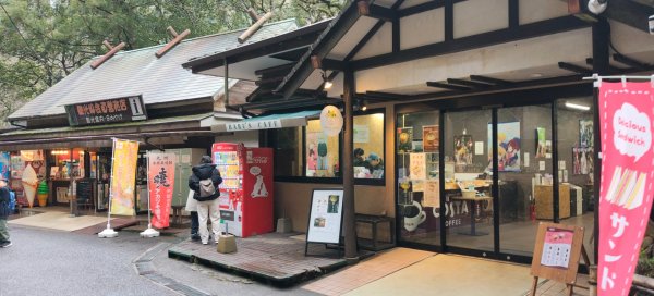 日本九州:宮崎縣高千穂峽2997451