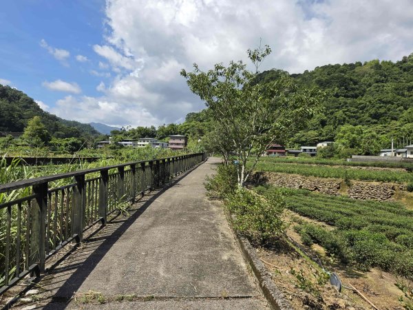 20260714金瓜寮自行車道-古水圳道-龜窟崙3090575