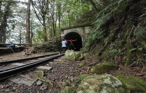 阿里山眠月線2972779