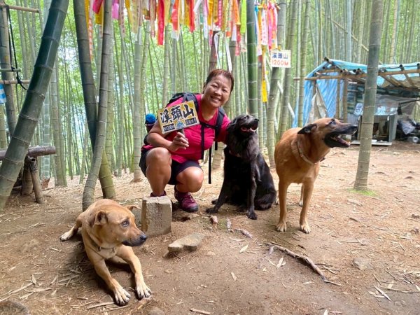 溪頭山、竹崙山、志騰山、妖怪村2877919