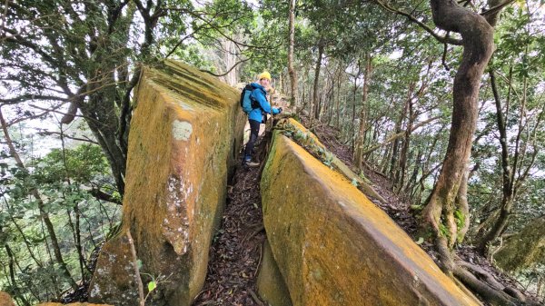 【苗栗郊山聖稜線】仙神象18連峰大縱走2675869