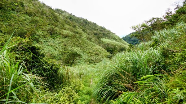 桶後越嶺古道2876803