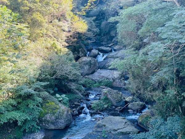 1141117小錦屏步道2946831