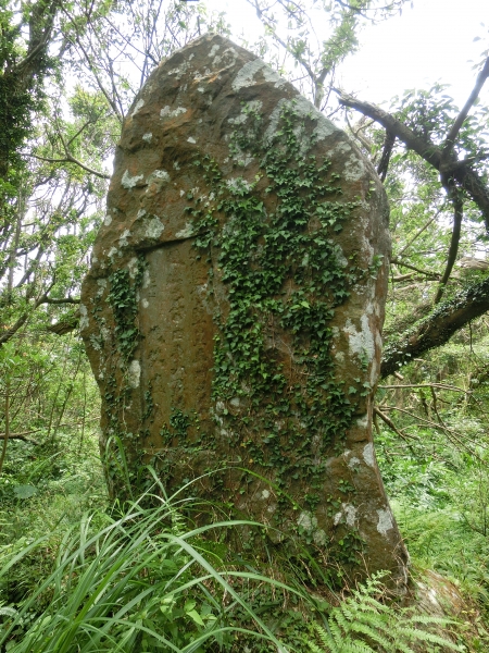 面天山．向天山．向天池94279