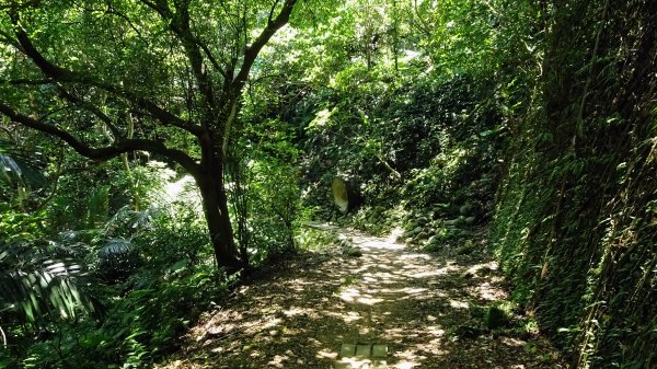 串珠步道,二砂灣砲台,大砂灣西東砲台,綠丘砲台,基隆塔2257502