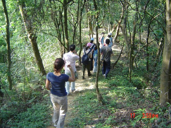 2008 May 明舉山步道585760