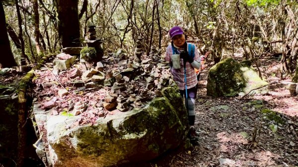🌈11/9(日)高島縱走~高台山連走島田山山徑✨FB：熊熊趴爬走🌈2932499
