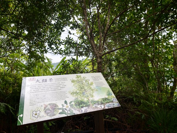 [淡蘭古道] 2026_0524 南路第五段_跑馬古道(下)-玉龍居3070191