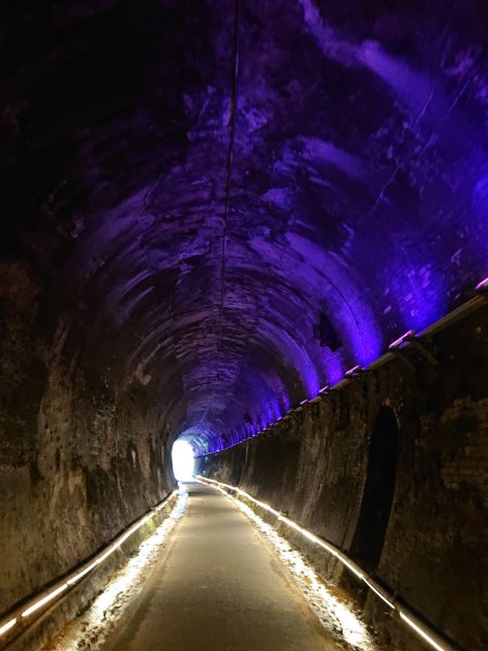 功維敘隧道-貓狸山公園2754515