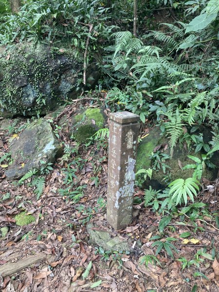 土庫岳2527759