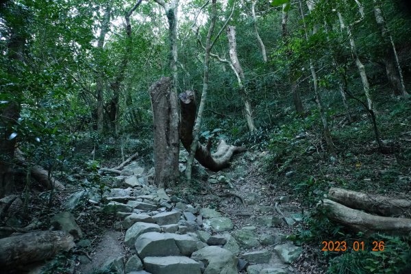 屏東 獅子鄉 里龍山(里隆山、里瀧山、鯉龍山)、下里龍山2018521