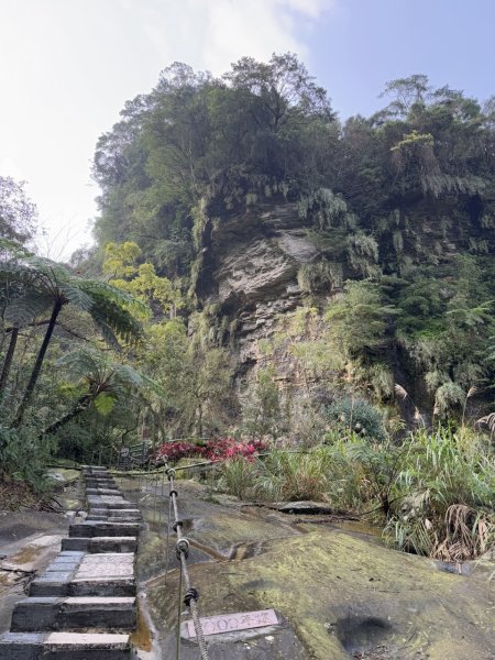 2025/02/17 姜子寮絕壁瀑布 姜子寮山2908682