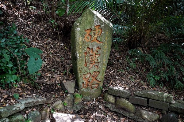 觀音山 硬漢嶺2870040