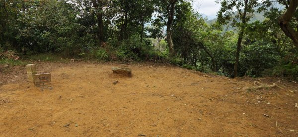 阿哲/小黑3031501