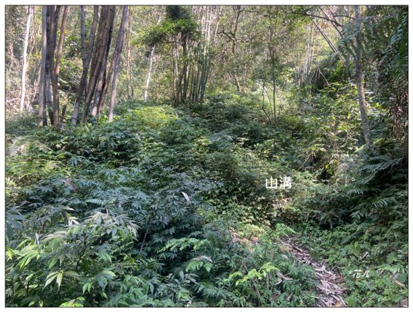 阿里眉山 (日月潭四姝的么妹)2753054