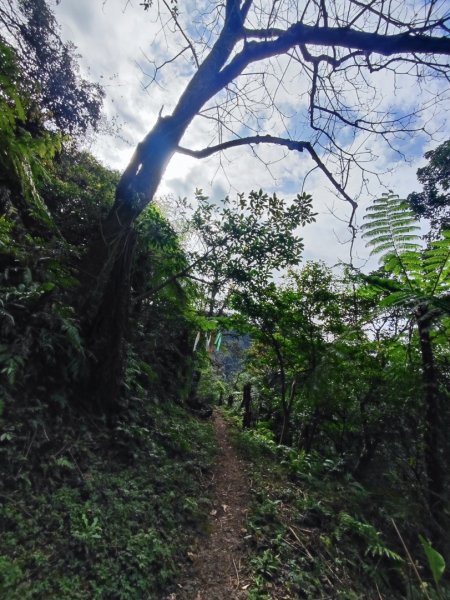 汐止大尖山-秀峰瀑布2684795