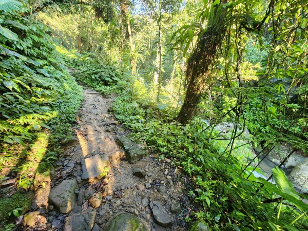 20240707馬胎古道2780986