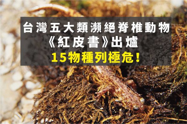 【環境】 台灣五大類群脊椎動物《紅皮書》出爐 15物種列極危