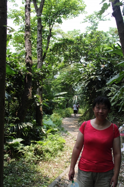 20160508新北市三芝區三生賞桐花步道90760
