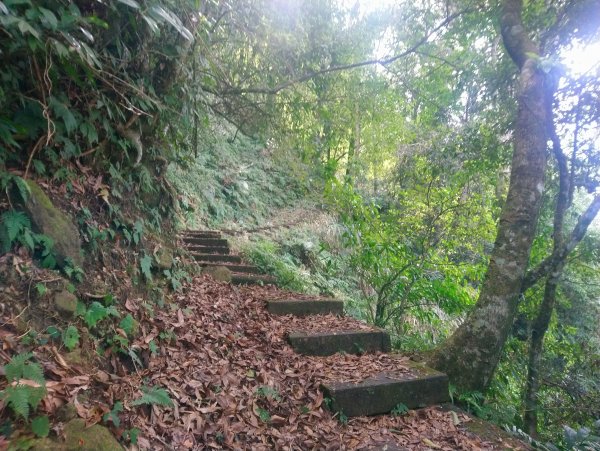 石壁山 好望角 嘉南雲峰 O型 南側進813330