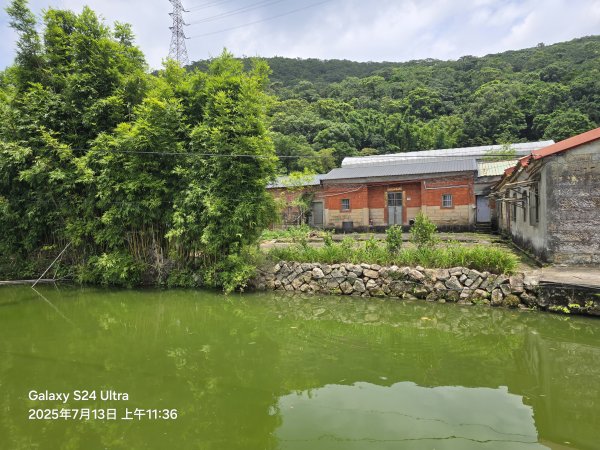2025-07-13臺北大縱走第四段：風櫃口至中華科技大學2836009