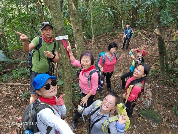 東勢大崙、東勢坑山、觀音湖山O走2986226