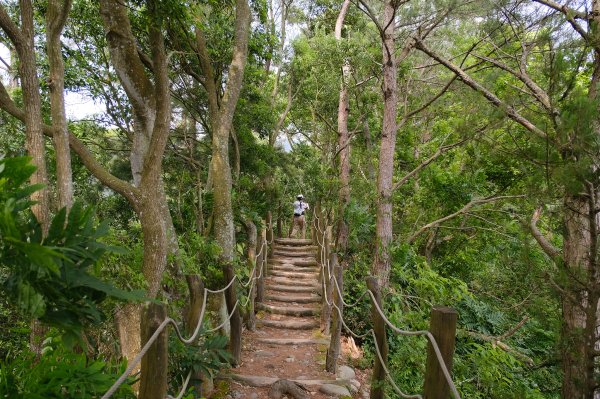 大坑四號步道_頭嵙山3079498