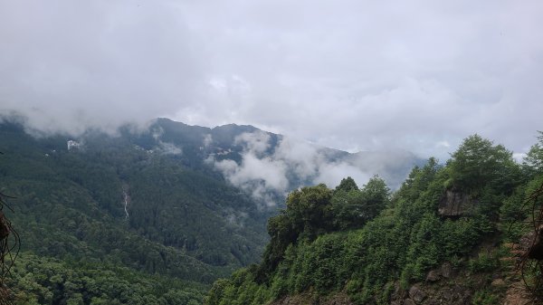 嘉義阿里山-眠月線1880789