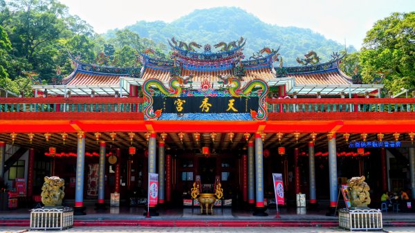 黑端建斑蝶（斐豹蛺蝶）3068583