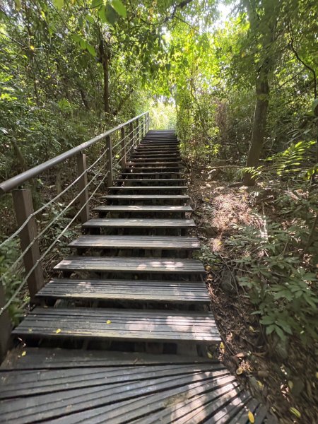 20251012高雄半屏山步道2915115