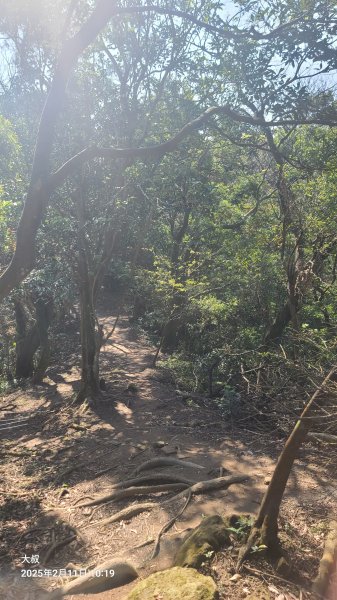 2025-0211造鎮_太極嶺_五城山小段攀爬路線2710735