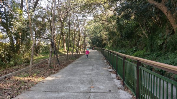 外埔水流東桐花步道819547