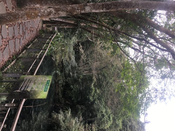 四十二份湧泉2723162