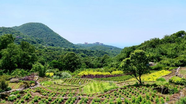 猴崁古道。盧特訪積2773250