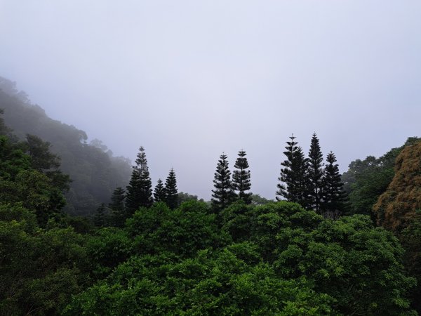 2026樟之細路：渡南，飛鳳,騎龍，茶亭，石山艮，獅山古道3115579