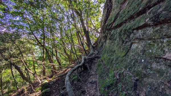 月扇湖山大岩壁,楓紅,落羽松2375351